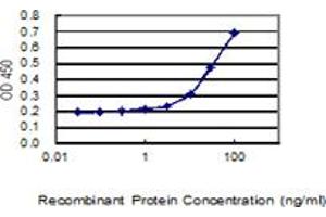 Detection limit for recombinant GST tagged NSD1 is 3 ng/ml as a capture antibody. (NSD1 抗体  (AA 2-109))
