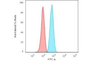 Flow Cytometric Analysis of HeLa cells using Cytokeratin 14 Mouse Monoclonal Antibody ((KRT14/2375) followed by goat anti-Mouse IgG-CF488 (Blue); Isotype Control (Red). (KRT14 抗体  (AA 351-472))