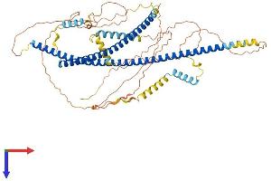 HAP1 Protein (AA 1-628) (His tag)