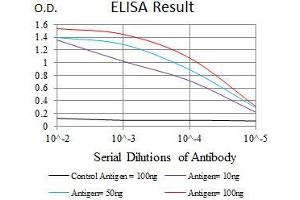 Black line: Control Antigen (100 ng), Purple line: Antigen(10 ng), Blue line: Antigen (50 ng), Red line: Antigen (100 ng), (WDR66 抗体  (AA 1-250))