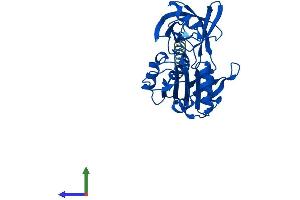 Protein Structure (PS) image for Cytochrome B5 Reductase 1 (CYB5R1) (AA 1-305) protein (His tag) (ABIN7549728)
