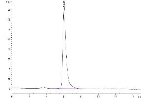 The purity of Human Adiponectin is greater than 94 % as determined by SEC-HPLC.