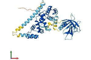 Protein Structure (PS) image for Cytohesin 3 (CYTH3) (AA 1-399) protein (His tag) (ABIN7562231)