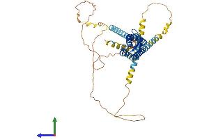Protein Structure (PS) image for Gap Junction Protein, gamma 2, 47kDa (GJC2) (AA 1-440) protein (His tag) (ABIN7558824)