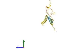 AlphaFold protein structure predicition of Human Recombinant C20orf141 Protein, UniprotID Q9NUB4