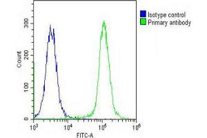Overlay histogram showing K562 cells stained with Antibody (green line). (RASIP1 抗体  (AA 651-678))