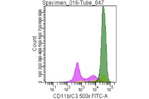 Image no. 2 for anti-CD11b/C3 antibody (ABIN920591) (CD11b/C3 抗体)