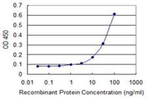 Detection limit for recombinant GST tagged PHF11 is 3 ng/ml as a capture antibody. (PHF11 抗体  (AA 1-292))