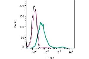 Cell surface detection of NPTXR by direct flow cytometry in live intact human  MG glioblastoma cell line: + Rabbit IgG isotype control-FITC (ABIN7582044). (NPTXR 抗体  (Extracellular) (FITC))