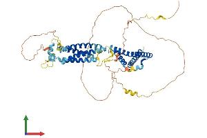 Protein Structure (PS) image for Occludin (OCLN) (AA 1-521) protein (His tag) (ABIN7557671)