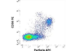 Flow cytometry multicolor surface staining pattern of human lymphocytes using anti-human CD56 (LT56) PE antibody (10 μL reagent / 100 μL of peripheral whole blood) and intracellular staining using anti-Perforin (dG9) APC antibody (10 μL reagent / 100 μL of peripheral whole blood). (Perforin 1 抗体  (APC))
