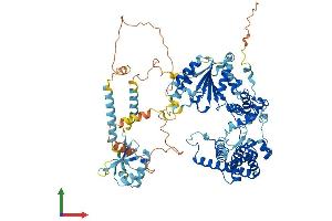 AlphaFold protein structure predicition of Human Recombinant AFG3L2 Protein, UniprotID Q9Y4W6