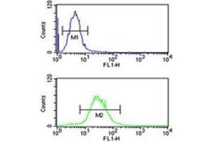 IGH antibody flow cytometric analysis of HL-60 cells (green) compared to a negative control cell (blue). (IgH 抗体  (AA 290-320))