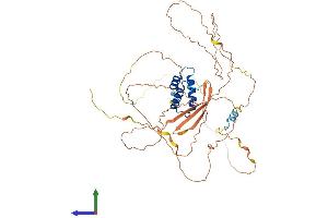 Protein Structure (PS) image for Calcium Binding tyrosine-(Y)-phosphorylation Regulated (CABYR) (AA 1-493) protein (His tag) (ABIN7552829)