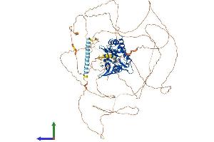 AlphaFold protein structure predicition of Human Recombinant ITPKB Protein, UniprotID P27987