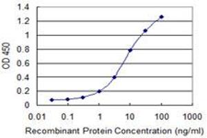 Detection limit for recombinant GST tagged NLGN1 is 0. (Neuroligin 1 抗体  (AA 578-677))