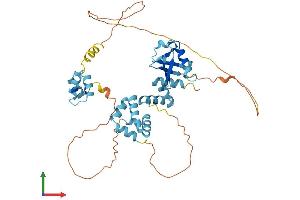 Protein Structure (PS) image for RAD23 Homolog B (RAD23B) (AA 1-409) protein (His tag) (ABIN7555160)