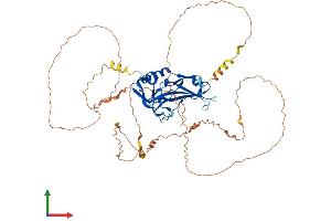 Protein Structure (PS) image for T-Box 4 (TBX4) (AA 1-552) protein (His tag) (ABIN7556696)