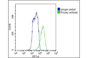 Overlay histogram showing HepG2 cells stained with A(green line). (FADS2 抗体  (N-Term))