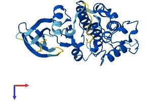 CDK5 Protein (AA 1-292) (His tag)
