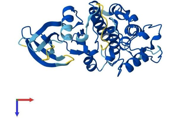 CDK5 Protein (AA 1-292) (His tag)