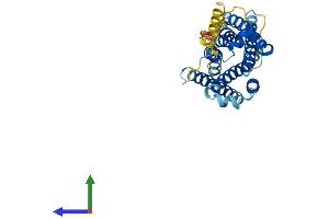 Protein Structure (PS) image for MAS-Related GPR, Member X1 (MRGPRX1) (AA 1-322) protein (His tag) (ABIN7559380)