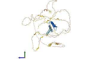 Protein Structure (PS) image for Iroquois Homeobox 3 (IRX3) (AA 1-507) protein (His tag) (ABIN7556743)
