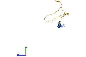 AlphaFold protein structure predicition of Mouse Recombinant Cebpg Protein, UniprotID P53568