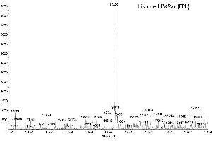Mass Spectrometry (MS) image for Histone 3 (H3) (H3K9ac) protein (ABIN2669541) (Histone 3 Protein (H3) (H3K9ac))
