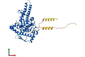 AlphaFold protein structure predicition of Mouse Recombinant Hyal4 Protein, UniprotID Q05A56