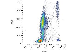 Flow cytometry analysis (surface staining) of CD193 in human peripheral blood with anti-human CD193 (5E8) PE. (CCR3 抗体  (PE))
