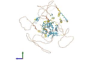 AlphaFold protein structure predicition of Human Recombinant ZNF341 Protein, UniprotID Q9BYN7