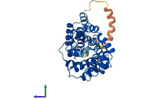 Protein Structure (PS) image for LRP2 Binding Protein (LRP2BP) (AA 1-346) protein (His tag) (ABIN7560983)