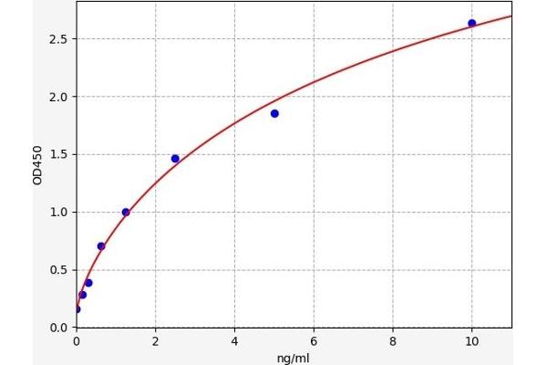 PRB1 ELISA 试剂盒