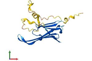 AlphaFold protein structure predicition of Human Recombinant HSPB6 Protein, UniprotID O14558