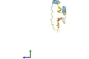 AlphaFold protein structure predicition of Human Recombinant C9orf153 Protein, UniprotID Q5TBE3