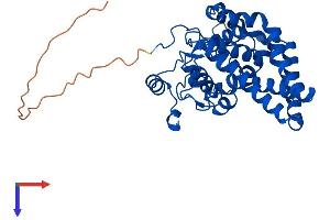 SCD Protein (AA 1-355) (His tag)
