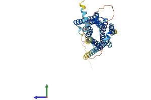 AlphaFold protein structure predicition of Human Recombinant HTR1E Protein, UniprotID P28566