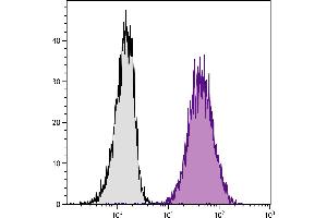 Flow Cytometry (FACS) image for Goat anti-Rat IgG (Heavy & Light Chain) antibody (PE-Texas Red) - Preadsorbed (ABIN376666)