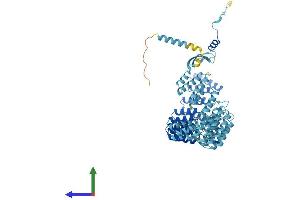 Protein Structure (PS) image for Crooked Neck Pre-mRNA Splicing Factor-Like 1 (CRNKL1) (AA 1-690) protein (His tag) (ABIN7556648)