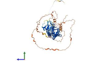 AlphaFold protein structure predicition of Human Recombinant ZDHHC1 Protein, UniprotID Q8WTX9