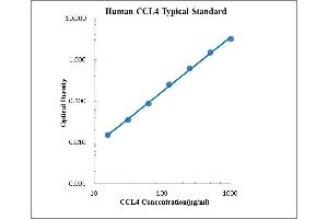 ELISA image for Chemokine (C-C Motif) Ligand 4 (CCL4) ELISA Kit (ABIN2472066)