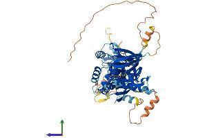 Protein Structure (PS) image for Ceramide Kinase-Like (CERKL) (AA 1-558) protein (His tag) (ABIN7553173)