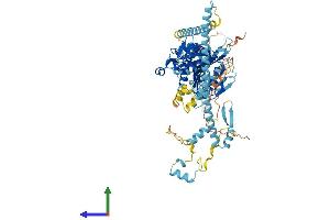 Protein Structure (PS) image for Kinesin Family Member 3B (KIF3B) (AA 1-747) protein (His tag) (ABIN7548785)