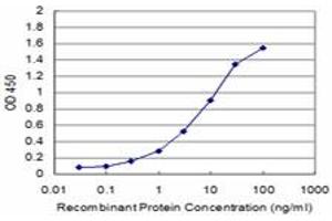 Detection limit for recombinant GST tagged CENPA is approximately 0. (CENPA 抗体  (AA 1-114))