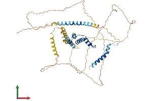 Protein Structure (PS) image for Acyl-CoA Binding Domain Containing 5 (ACBD5) (AA 1-534) protein (His tag) (ABIN7551850)