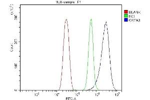 Flow Cytometry analysis of HEPA1-6 cells using anti-Gsta3 antibody (ABIN7603173). (GSTA3 抗体  (N-Term))
