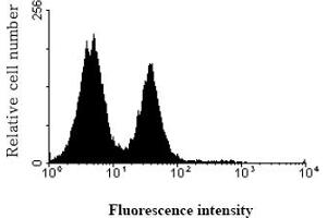 Profile of NK cells analyzed by flow cytometry
