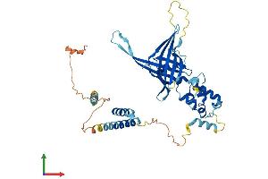 Protein Structure (PS) image for F-Box Protein 9 (FBXO9) (AA 1-447) protein (His tag) (ABIN7553918)