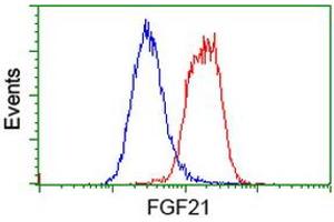 Flow cytometric Analysis of Hela cells, using anti-FGF21 antibody (ABIN2454535), (Red), compared to a nonspecific negative control antibody, (Blue). (FGF21 抗体  (AA 29-209))